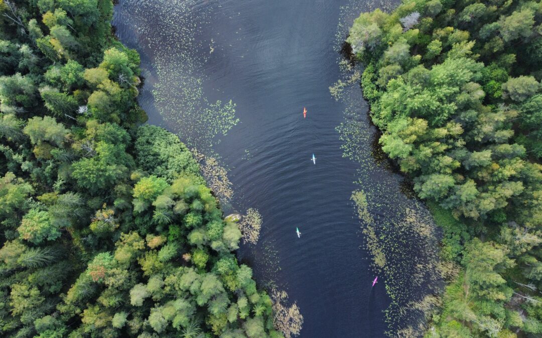 Päivitetyt aukioloajat
